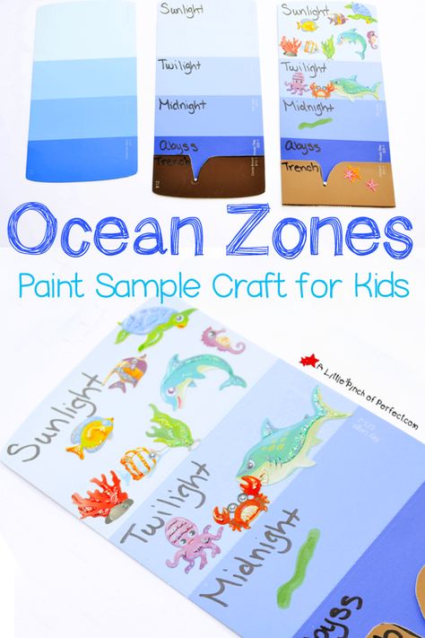 Paint Samples Crafts, Layers Of The Ocean, Ocean Zones, Ocean Habitat, Ocean Projects, Ocean Unit, Ocean Science, Ocean Activities, Paint Sample