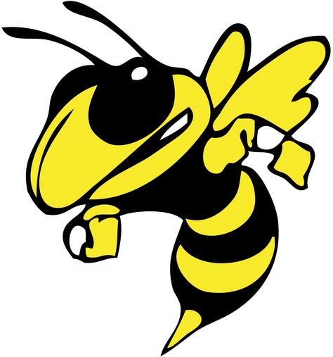 Go Hornets Go!!! I am a hawley hornet Georgia Tech Football, Lacrosse Boys, Georgia Tech Yellow Jackets, Baseball Boys, Fastpitch Softball, Boys Basketball, Basketball Girls, Football Boys, Yellow Jacket