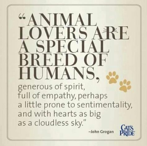 "Los amantes de los animales son una "raza especial" de humanos, generosos de espíritu, llenos de empatía, tal vez un poco propensos a ser sentimental y con un corazón tan grande como un cielo despejado"-John Crogan #animales #mascotas Lovers Quotes, Motiverende Quotes, Animal Quotes, Dog Quotes, An Animal, Animal Lovers, A Sign, Animals Friends, Animal Shelter