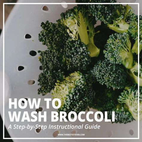 Find out how to wash broccoli properly with this step-by-step guide. Learn why it is important that broccoli is cleaned and washed before cooking or freezing, along with other useful information. Washing Broccoli, How To Clean Broccoli, Cleaning Broccoli, How To Prepare Broccoli, Broccoli Leaves, Raw Broccoli, Spiced Fruit, Broccoli Sprouts, Frozen Broccoli