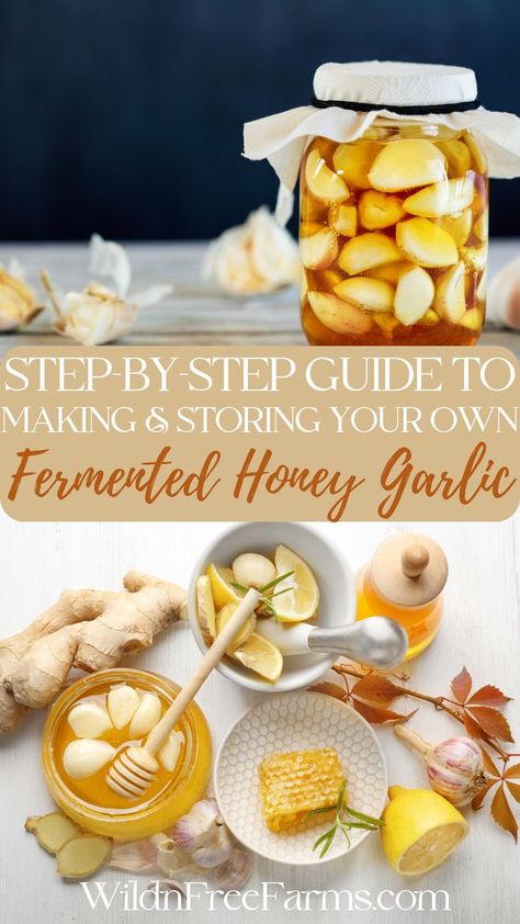 fermented honey garlic Fermented Garlic Honey, Fermented Garlic, Fermented Honey, Garlic Honey, Garlic Benefits, Fermentation Recipes, Food Medicine, Easy Homemade Recipes, Garlic Recipes