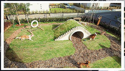 Dog Run - Ouch! - Struggling to discover the solutions that you have been searching for? Why not try Amazon.com TODAY! Dog Park Design, Outdoor Dog Area, Backyard Dog Area, Dog Play Area, Puppy Playground, Dog Friendly Garden, Hotel Pet, Pet Garden, Dog Friendly Backyard