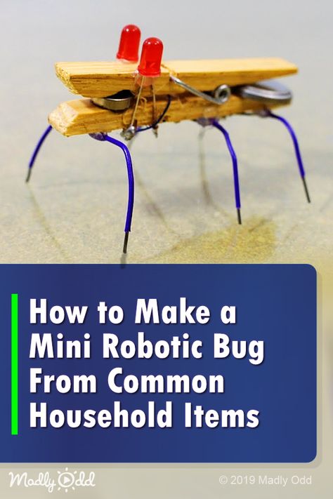 ```html How to Make a Mini Robotic Bug From Household Items Are you looking for a fun DIY project that will also teach you about robotics? Look no fur... Check more at https://jolibeob.com/how-to-make-a-mini-robotic-bug-from-household-items/ 4h Stem Activities, Robotic Science Fair Projects, Vibration Motor Projects, Middle School Wood Shop Projects, Kids Stem Activities, Fun Stem Activities, Stem Classes, Steam Projects, Robotics Projects