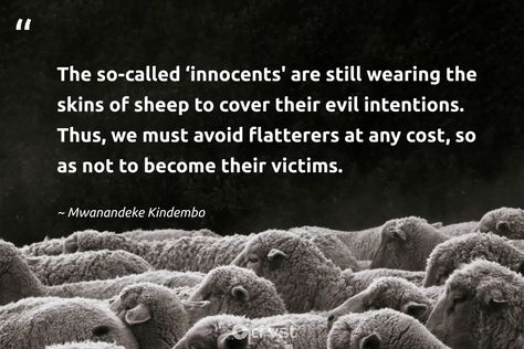 25 Sheep Quotes to Inspire Innocence, Individuality, and More Sheep Quotes, Following Quotes, Sheep Quote, Hiking Quotes, Garden Quotes, Quotes To Inspire, Psalm 23, The Shepherd, The Little Prince