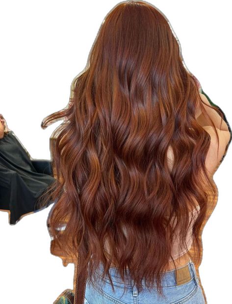 Copper Hair Formula, Brown Red Copper Hair Color, Brown Copper Hair, Cowgirl Copper, Dark Orange Hair, Cowboy Copper Hair, Copper Brown Hair, Light Auburn Hair, Hair Levels