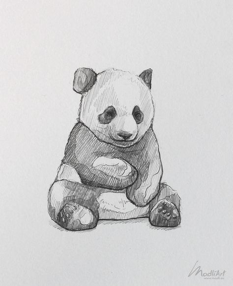 Nature Drawings Animals, Sketching Ideas Animals, Panda Drawing Sketches, Cute Panda Drawing Sketches, Zoo Animal Sketches, Giant Panda Drawing, Cute Panda Sketch, What Should I Draw In My Sketchbook, Drawing Ideas Animals Sketches Pencil