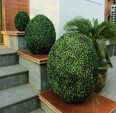 If you like the look of topiaries or artificial boxwood balls, here’s a DIY project for you. You can't go wrong with this! Topiary Balls, Topiary Diy, Artificial Green Wall, Boxwood Balls, Garden Hedges, Artificial Hedges, Boxwood Hedge, Artificial Topiary, Boxwood Topiary