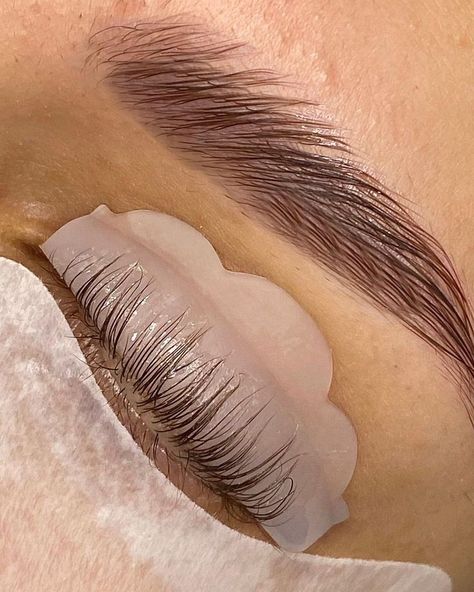 Lash Lift And Brow Lamination, Eyelash Perm Kit, Lash And Brow Tint, Eyelash Perm, Lash Tint, Eyelash Lift, Threading Eyebrows, Brow Lift, Brow Lash