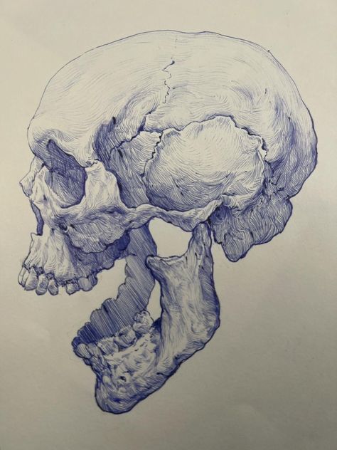 Skull Open Mouth Reference, Skeleton Ink Drawing, Skeleton Head Reference, Human Skull Art, Skull Sketches Pencil, Skull Profile Drawing, Skull Pencil Drawings, Shackles Drawing, Skull Art Reference