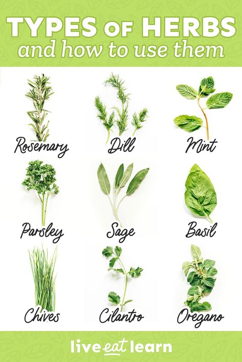 What are the most common types of herbs? And how to you know when to use one herb over another? We're breaking it all down in this simple guide to fresh herbs! Best Cough Remedy, Dry Cough Remedies, Types Of Herbs, Natural Sleep Remedies, Natural Antibiotics, Natural Cold Remedies, Herbs For Health, Cold Home Remedies, Natural Cough Remedies