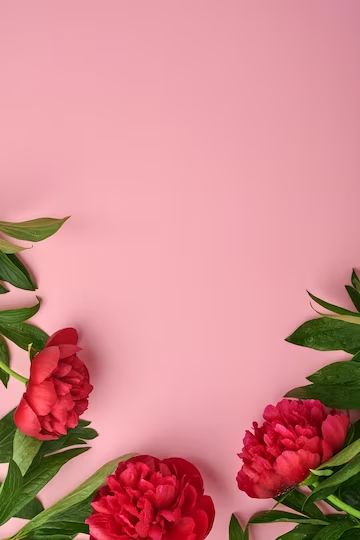 Mother’s Day Background, Mother Day Background, Mothers Day Background, Mother's Day Banner, Mother's Day Background, Mother's Day Bouquet, Red Peony, Day Background, Red Peonies