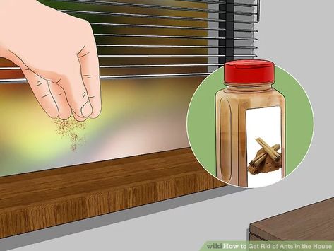 How To Repel Ants In House, Ant Problems How To Get Rid, How To Get Rid Of Anys In The House, Remedy For Ants In House, How To Get Ride Of Ants In Your House, Ant Control In House, How To Stop Ants From Coming In House, Home Remedy To Get Rid Of Ants, Ants In House Get Rid Of Pet Safe