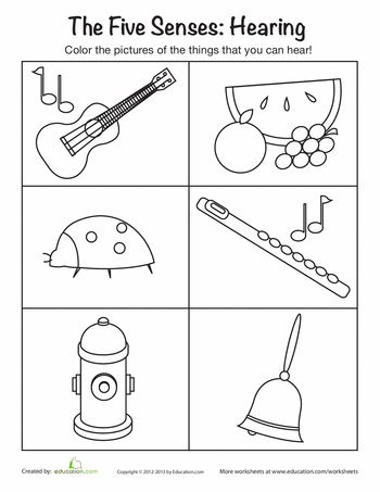 Worksheets: Sense of Hearing Sense Of Hearing Worksheet, Five Senses Kindergarten, 5 Senses Preschool, 5 Senses Worksheet, Five Senses Worksheet, Five Senses Preschool, Sense Organs, Sense Of Hearing, October Lessons