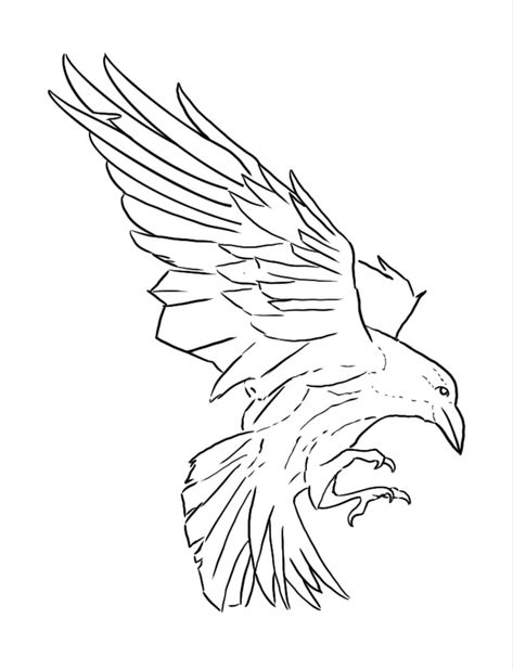 Crow Line Art Tattoo, Crow Sketch Tattoo, Raven Outline Drawing, Raven Silhouette Stencil, Raven Line Art Tattoo, Raven Drawing Sketch Simple, Crow Line Tattoo, Raven Tattoo Linework, Crow Tattoo Linework