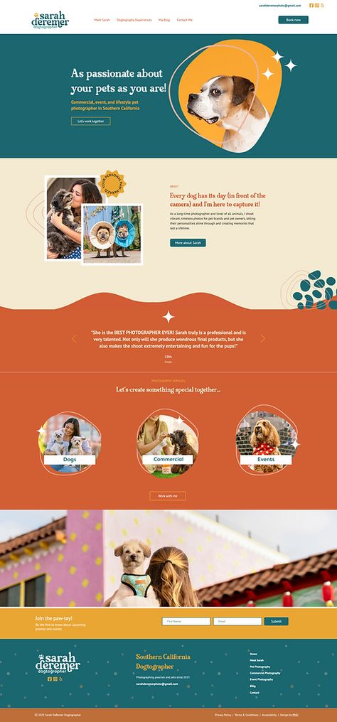 Dog Grooming Website Design, Cat Website Design, Petshop Website Design, Dog Website Design Inspiration, Dog Trainer Website Design, Pet Store Website, Dog Grooming Website, Pet Website Design Inspiration, Pet Shop Website Design