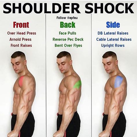 Shoulder Muscle, Shoulder Muscles, Weight Training Workouts, Aerobics Workout, Popular Workouts, Triceps Workout, Shoulder Workout, Weight Training, Workout Challenge