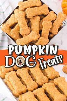 Pumpkin Cinnamon Dog Treats, Dog Cookies Homemade, Treats For Dogs With Kidney Problems, Pumpkin Dog Treats Homemade Recipes, Allergy Friendly Dog Treats, Superfood Dog Treats, Winter Dog Treats Homemade, Cheddar Cheese Dog Treats, Dog Treats Made In Silicone Molds