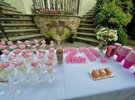 21st birthday decor twenty first pink decor champagne glasses tequila 21st Birthday Outdoor Decorations, 21st Elegant Birthday Ideas, 21 Birthday Dessert Table, 21st Birthday Party Table Set Up, Pink Birthday Party Aesthetic 21, 21st Birthday Outdoor Party, 21st Hotel Decorations, 21st Bday Drink Ideas, 21st Birthday Esthetic