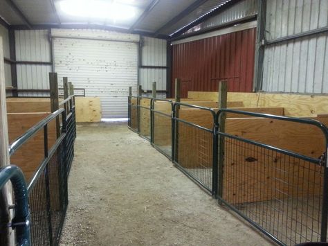 Perfect, easy barn setup. Livestock Barn, Goat Pen, Livestock Shelter, Barn Layout, Goat Shelter, Cattle Barn, Show Goats, Barn Stalls, Goat House