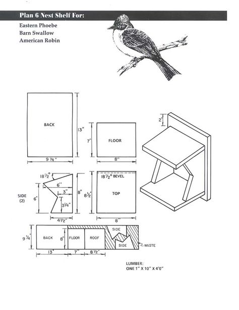 3740×4840: Eastern Phoebe, Barn Swallow, American Robin Swallow House, Bluebird House Plans, Bat House Plans, Cardinal Bird House, How To Build Abs, Wren House, House Plans Ideas, Bat House, House Image