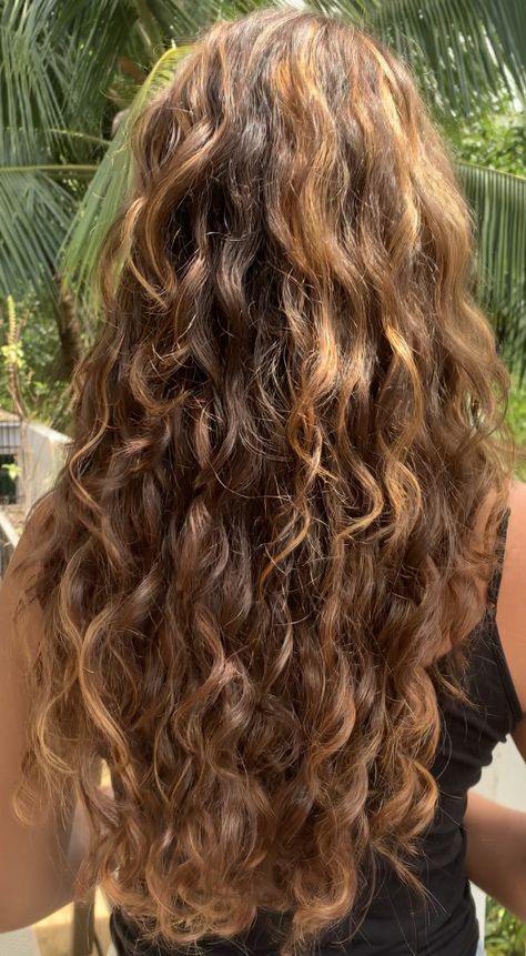 Curly Hair Boho Style, Natural Wavy Hair Highlights, Highlights On Wavy Hair, Outfits With Curly Hair, Honey Blonde Highlights Curly Hair, Light Perm, Brown Beach Hair, Long Wavy Hair Natural, Light Brown Wavy Hair