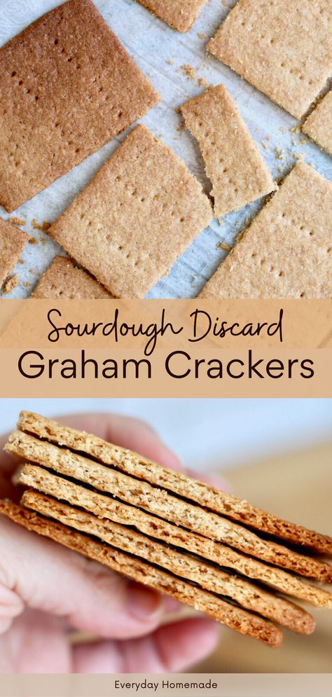 Try out these homemade Sourdough Graham Crackers - a tasty mix of crispy, flaky, and buttery goodness! Using sourdough starter discard, this simple recipe delivers sweet, tangy flavors perfect for s’mores, graham cracker crusts, or snacking. They're a hit with kids and great for summer outings or lunchboxes. Sourdough Discard Graham Crackers, Graham Crackers Recipe, Sourdough Discard Recipe, Recipe Using Sourdough Starter, Graham Cracker Recipes, Discard Recipe, Dough Starter, Sourdough Starter Discard Recipe, Crackers Recipe