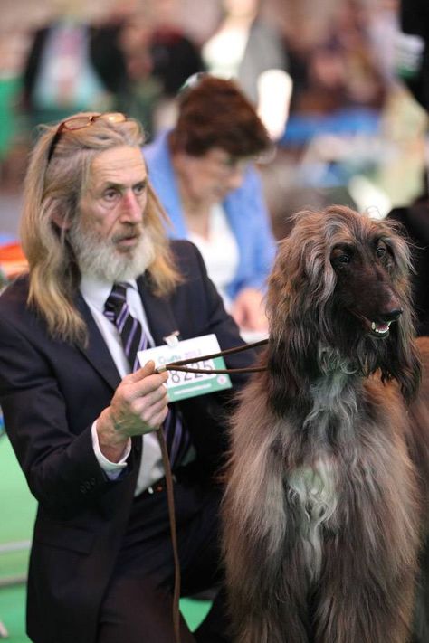 Dogs look like their owners. One of those stereotypes based in truth, surely? http://mirr.im/wG2VzO Find Your Spirit Animal, Your Spirit Animal, Afghan Hound, Dog People, Like Animals, Dog Show, Whippet, Look Alike, Mans Best Friend