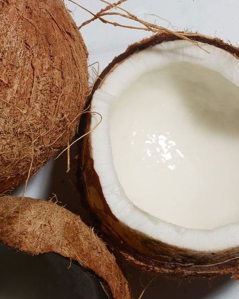 Do you know that all of our body butters contain coconut oil? Coconut oil is known for its exceptional moisturizing properties, rich in vitamins and antioxidants that nourish and hydrate the skin from within. Pamper yourself with the luscious texture and irresistible fragrance of our body butter, leaving your skin feeling soft, smooth, and rejuvenated. 🥥 Coming back soon... - #TheExecutiveSweet #TheSweetLife #SelfCareIsntSelfish #SelfCareEveryday #WellnessLifestyle #WellnessAdvocate #Holist... Coconut Milk Aesthetic, Coconut Oil Aesthetic, Coconut Aesthetic, Sugar Body Scrub, Sugar Body, Body Butters, Pamper Yourself, Oil Coconut, Burts Bees