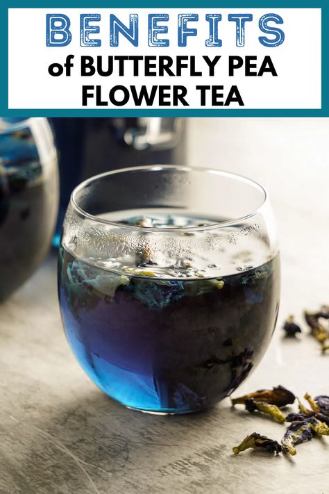 Butterfly Sweet Pea Tea Benefits, Benefits Of Butterfly Pea Tea, Blue Pea Flower Tea, Butterfly Blue Pea Flower, Butterfly Pea Tea Benefits, Blue Pea Flower Recipes, Butterfly Pea Powder Recipes, Butterflypeaflower Tea, Butterfly Pea Flower Tea Recipe