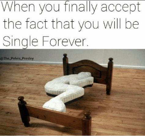 Forever Meme, Single Life Humor, Forever Single, Kid Buu, Single Memes, Single Forever, Funny Memes About Life, Funny Relationship Memes, Single Humor