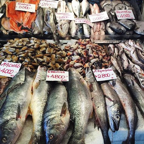 Lots of fish at the Mercado Central. #ka_onlocation Fish Market Drawing, Sheridan Portfolio, Fish Butchery, Brixton Market, Fish Monger, Rotten Fruit, Parrot Fish, Raw Meat, Central Market