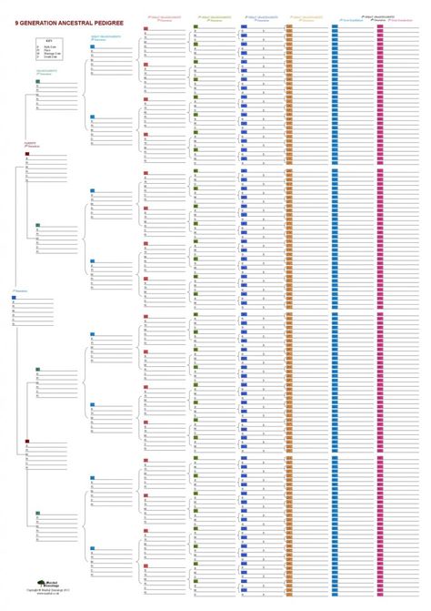 Ahnentafel chart| There are different formats that a Family Tree might take. Depending on the style of the chart that you are using, it might show five, six, seven, or even more generations. Some family tree charts get so full of information that it can be difficult to understand exactly how one ancestor relates to another one, or how either of them relate to you. Instead of using the typical, tree shaped, family tree design, try using an ahnentafel chart instead. Family Tree Charts, Printable Family Tree, Blank Family Tree Template, Family Tree Design, Ancestry Chart, Family History Organization, Free Family Tree Template, Blank Family Tree, Family Tree Printable