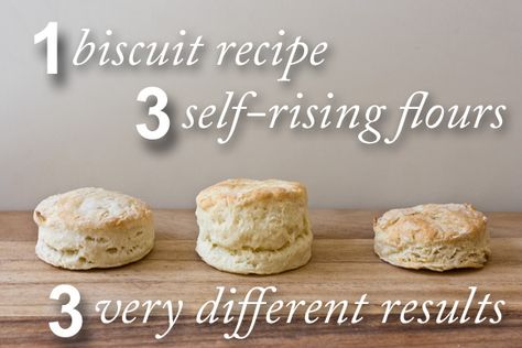 Which Flour Makes the Best Biscuits? Self Rising Flour Biscuits, Best Biscuits, Making Biscuits, Flour Biscuits, Homemade Pantry, White Lilly, How To Make Biscuits, Biscuit Rolls, Buttermilk Biscuits