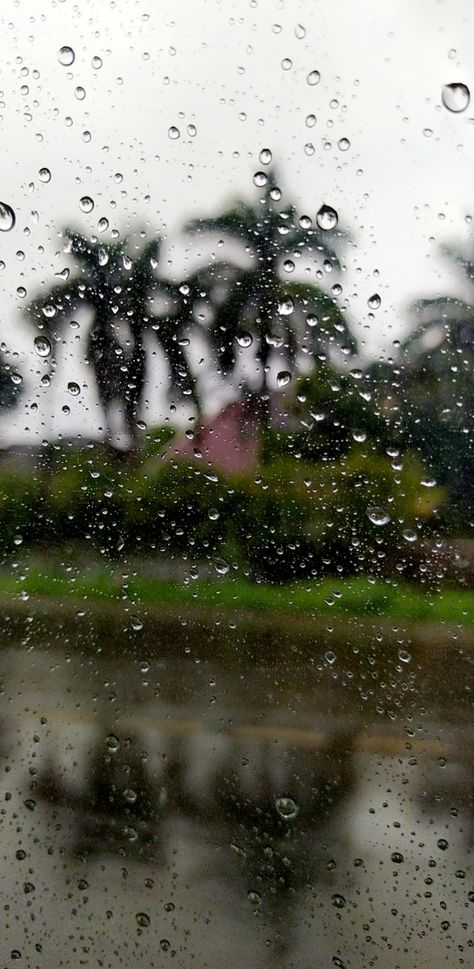 Lonavala Snap Rain, Lonavala Aesthetic, Nature Tree, Water Droplets, Oil Painting, Trees, Natural Landmarks, Photography, Quick Saves