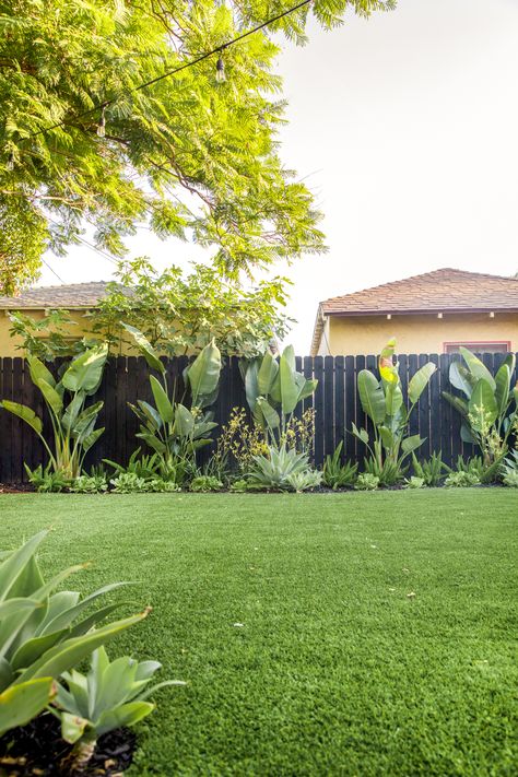 Tropical Backyard Landscaping, Landscaping Along Fence, California Backyard, Tropical Garden Design, Tropical Backyard, Two Years Later, Backyard Inspiration, Backyard Inspo, Backyard Garden Design