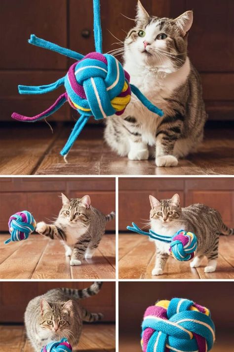 Top 15 DIY Cat Toys [Make Within Miutes] Cats Diy Toy, No Sew Cat Toys, Diy Cat Toys Interactive, Diy Cat Enrichment, Cat Toy Diy, Diy Catnip Toys, Diy Cat Toys Easy, Cat Enrichment, Cat Diy Crafts