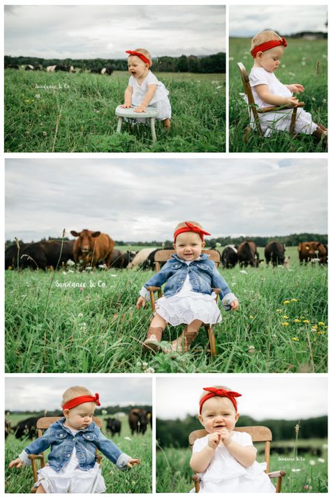 Forget the smash cakes, this first birthday photo session is as adorable as they come. Girl first birthday photos with cows on the farm. 1st Birthday Cow Pictures, Cow Birthday Pictures, First Birthday Cow Pictures, One Year Farm Photoshoot, One Year Old Cowgirl Photoshoot, Country One Year Old Photo Shoot, Farm Theme Photo Shoot, First Birthday Farm Photoshoot, Cowgirl First Birthday Pictures