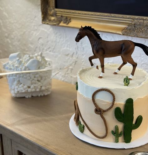 Cowboy Hat Birthday Cake, Cowboy First Birthday Cake, Cowboy Cakes For Boys, Cowboy Smash Cake, 1st Rodeo Birthday Cake, Cowboy Cake Smash, Cowboy Hat Cake, Western Theme Cakes, Rodeo Cake