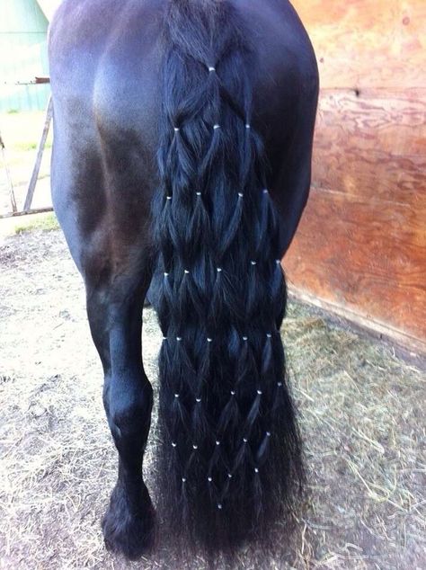 Horse Mane Braids, Horse Hair Braiding, Horse Braiding, Tail Braids, Horse Mane, Braids Ideas, Horse Costumes, Horse Tail, Barrel Horse