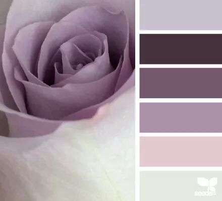 Rose color palette for home staging. A light touch would really glam up a bedroom or bathroom! Wedding Color Schemes Purple, Lavender Color Scheme, Palm Tattoos, Grey Wedding, Pastel Decor, Grey Room, Bedroom Color Schemes, Purple Design, Bedroom Paint Colors