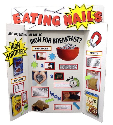 Make a Science Fair Project about Importance of Iron: Nutrient (Iron) Science Poster Ideas for Kids Science Poster Ideas, Science Fair Poster, Science Project Board, Project Display Boards, Kids Science Fair Projects, Science Fair Board, Science Fair Projects Boards, Fair Poster, Cool Science Fair Projects