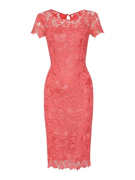 Shubette Cap sleeve shoulder gupuire lace dress, Pink Mother of the Bride outfit Dress Brokat, Lace Dress Design, Pink Lace Dress, Mother Of Groom Dresses, Summer Wedding Outfits, Bride Groom Dress, Mob Dresses, Short Lace Dress, Mothers Dresses