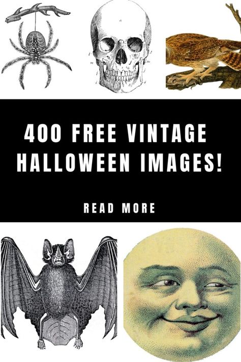 Vintage Halloween Banner, Vintage Halloween Decorations Diy, Sticker Projects, Vintage Halloween Prints, Vintage Labels Printables Free, Family Clip Art, Vintage Halloween Crafts, Halloween Clipart Free, Spooky Images