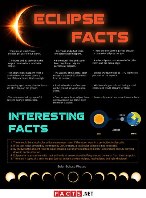 Eclipse Facts Infographics Solar Eclipse Fun Facts, Solar Eclipse Infographic, Solar Eclipse Humor, Solar Eclipse Diy Decorations, Eclipse Ideas For School, Solar Eclipse Activity For Adults, Solar Eclipse 5th Grade, Solar Eclipse Crafts For Adults, Solar Eclipse Party For Kids