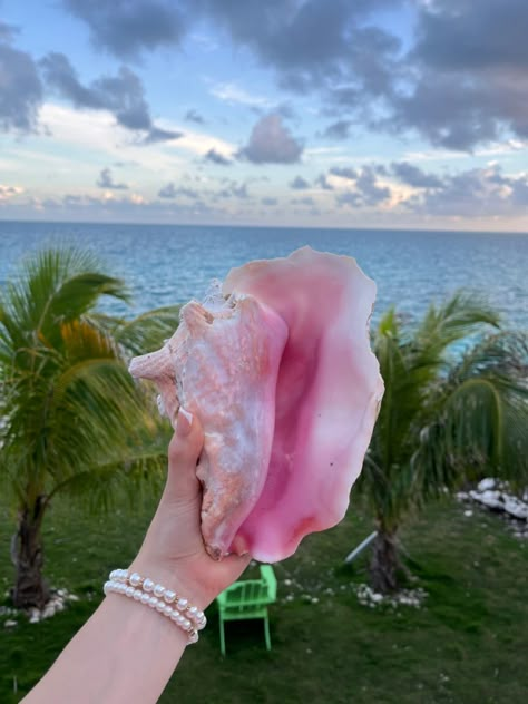 Pink Island Aesthetic, Pink Coastal Princess, Pink Coconut Girl Aesthetic, Pink Summer Aesthetic, Pink Hawaii, Coconut Aesthetic, Beach Core, Tropical Core, Necklaces Pink