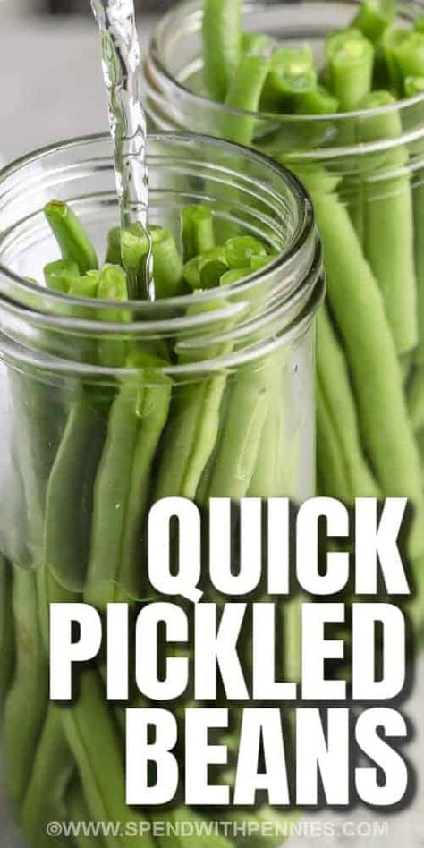 Spicy Pickled Beans, Pickled Green Bean Recipes, Pickled Beans, String Bean Recipes, Garlic Green Bean Recipes, Chicken Caesar Pasta, Easy Pickle, Spicy Green Beans, Pickled Vegetables Recipe