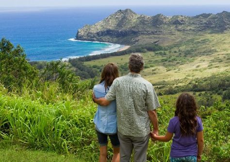 the descendants... a perfect film. The Descendants Movie, Beau Bridges, Little Dorrit, Travel Film, The Girl With The Dragon Tattoo, The Descendants, Movies Worth Watching, Shailene Woodley, Great Films