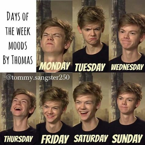 Newt Pics, Spooky Facts, Runner Jokes, Funny Puppies, Puppies And Kittens, Maze Runner Trilogy, Maze Runner Funny, Maze Runner Cast, Newt Maze Runner