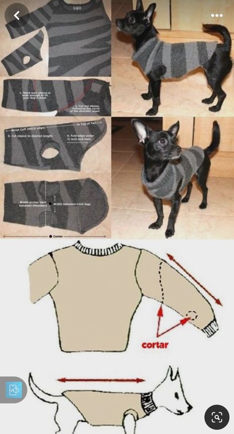 Easy Diy Puppy Clothes, Small Dog Hacks, Diy Dog Outfits Easy, Diy Pet Clothes Small Dogs, Diy Small Dog Clothes, Pet Clothes Patterns Free Sewing, Dog Sweater Pattern Sewing, How To Make Dog Clothes, Diy Puppy Clothes