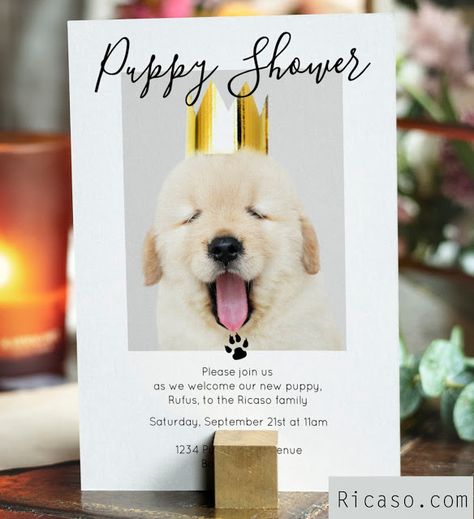 Puppy Shower Invitation, Puppy Shower Ideas, Dog Adoption Announcement, Puppy Shower Party, Dog Paw Pattern, Puppy Photoshoot, Puppy Announcement, Puppy Baby Shower, Puppy Pawty